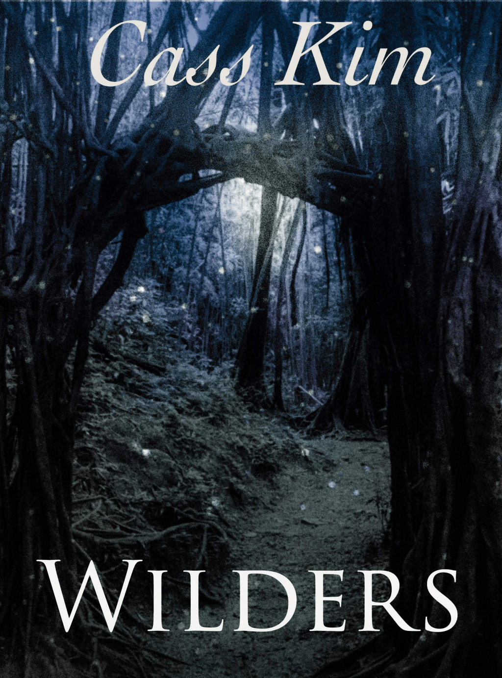 Spotlight: Wilders by Cass Kim