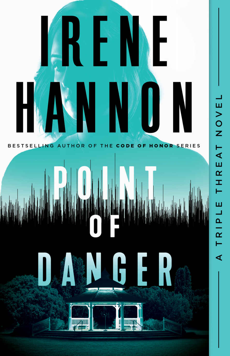 Spotlight: Point of Danger by Irene Hannon